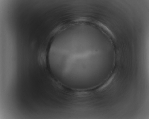 X0000100760921200807031146