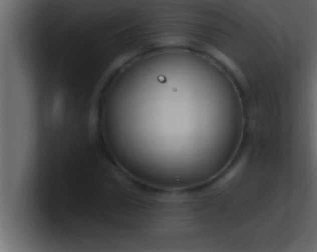 X0000100760922200807031146