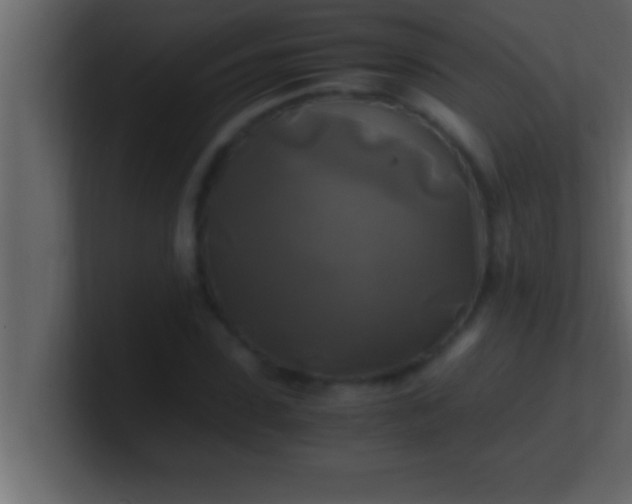 X0000100760923200807031146