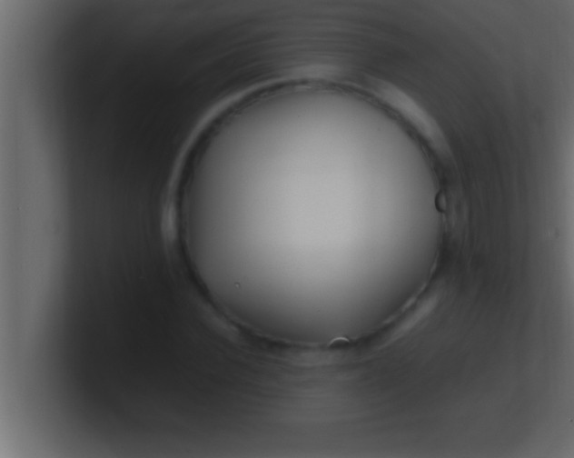 X0000100760924200807031146