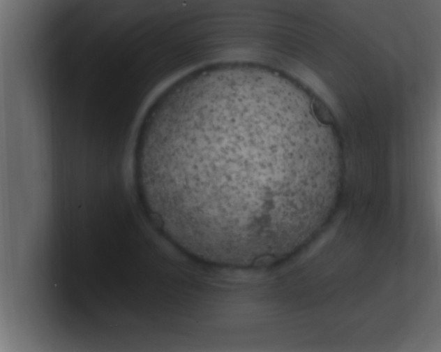 X0000100760928200807031147