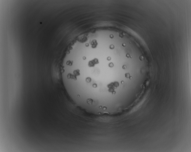 X0000100760929200807031147