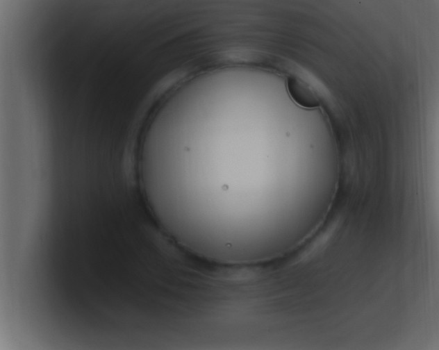 X0000100760930200807031147