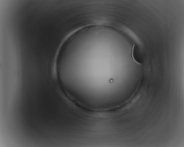 X0000100760932200807031147