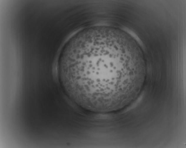 X0000100760933200807031147