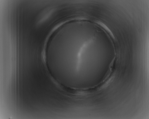 X0000100760935200807031147