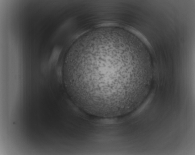 X0000100760937200807031147