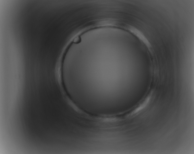 X0000100760941200807031147