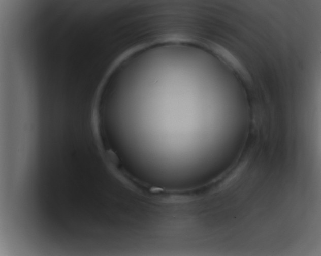 X0000100760942200807031147