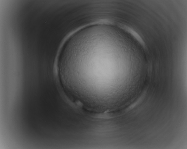 X0000100760944200807031147