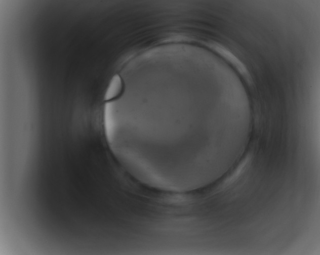 X0000100760945200807031147