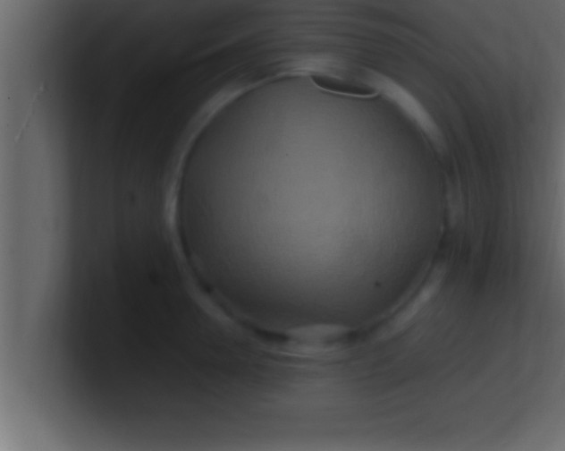 X0000100760946200807031147