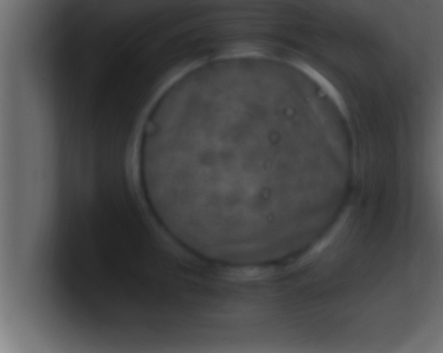 X0000100760949200807031147