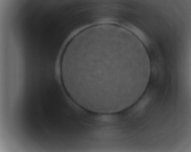 X0000100760950200807031147