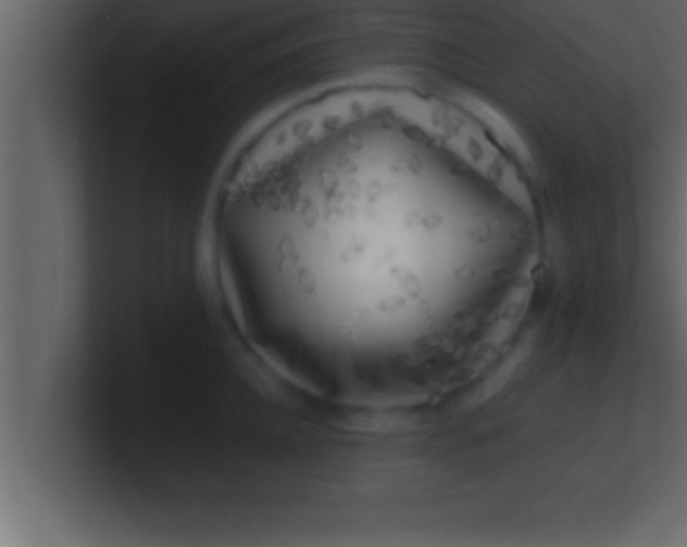 X0000100760952200807031147