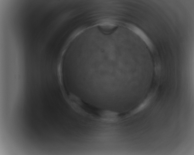 X0000100760954200807031147