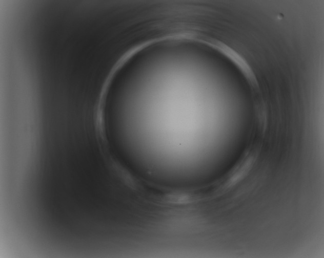 X0000100760956200807031147