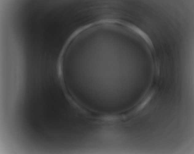 X0000100760958200807031147