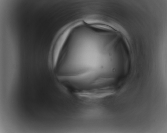 X0000100760960200807031147