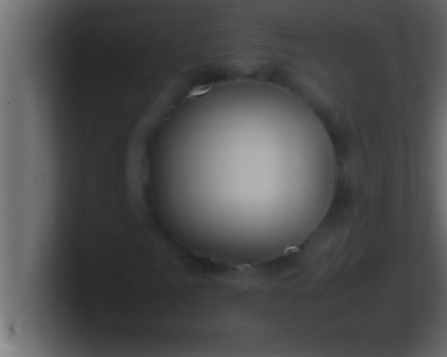 X0000100760961200807031146