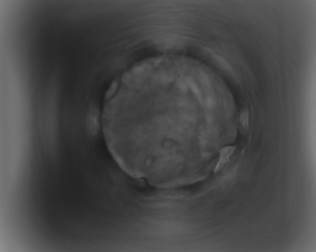 X0000100760963200807031146