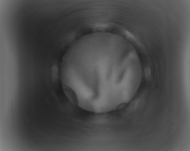 X0000100760964200807031146