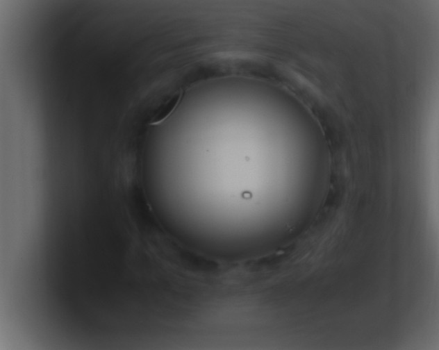 X0000100760965200807031146