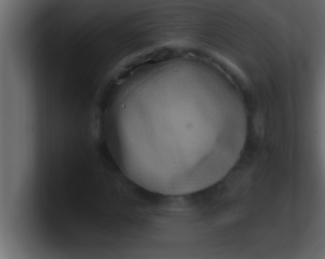 X0000100760968200807031146