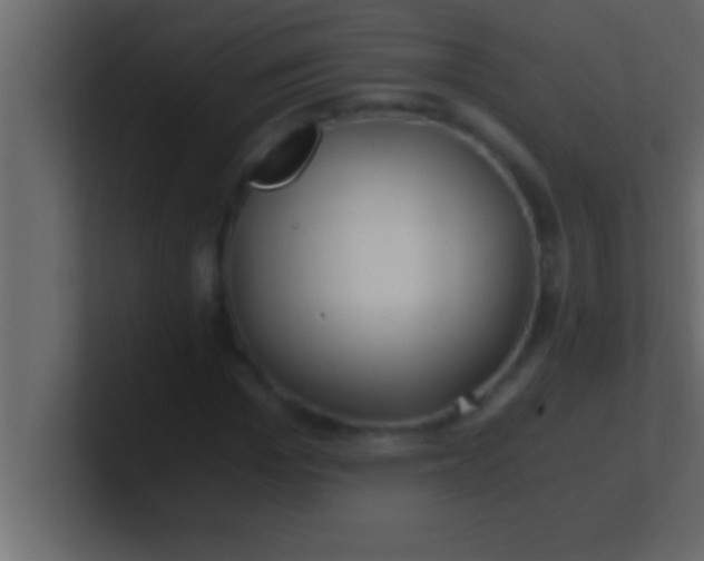 X0000100760969200807031146