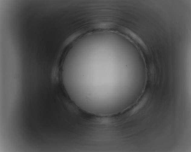 X0000100760970200807031146