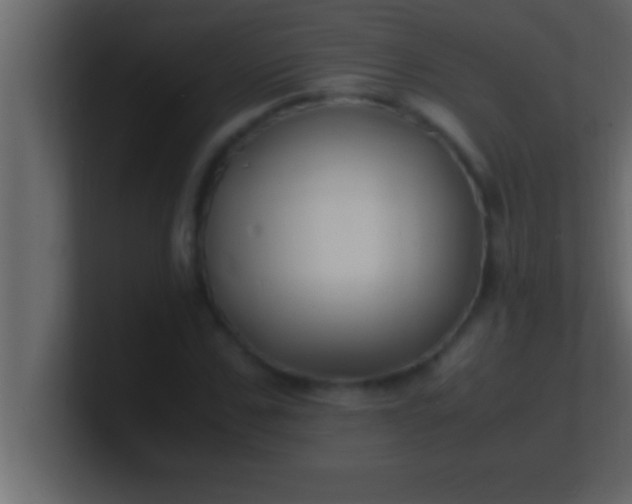 X0000100760971200807031146