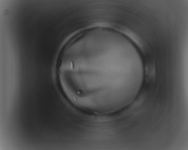 X0000100760972200807031146