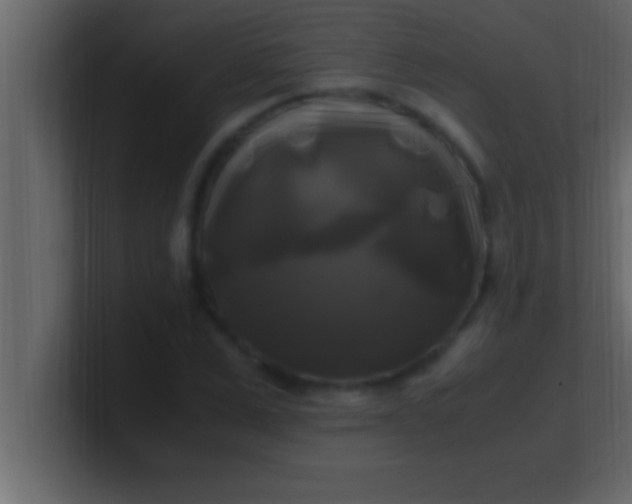 X0000100760975200807031146