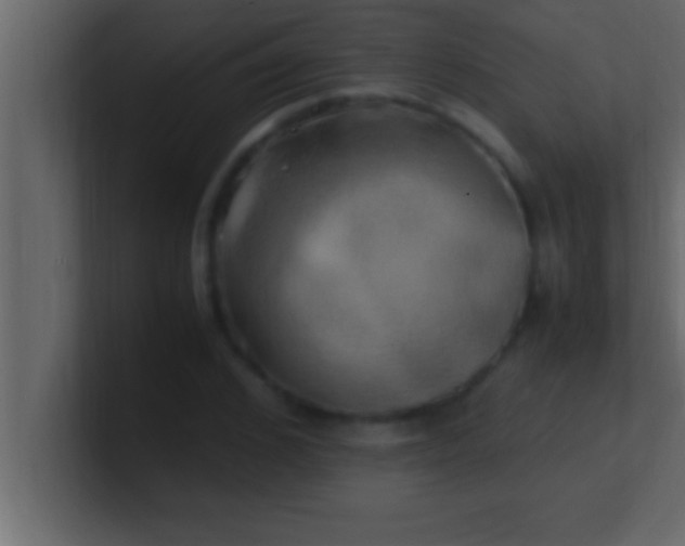 X0000100760976200807031146