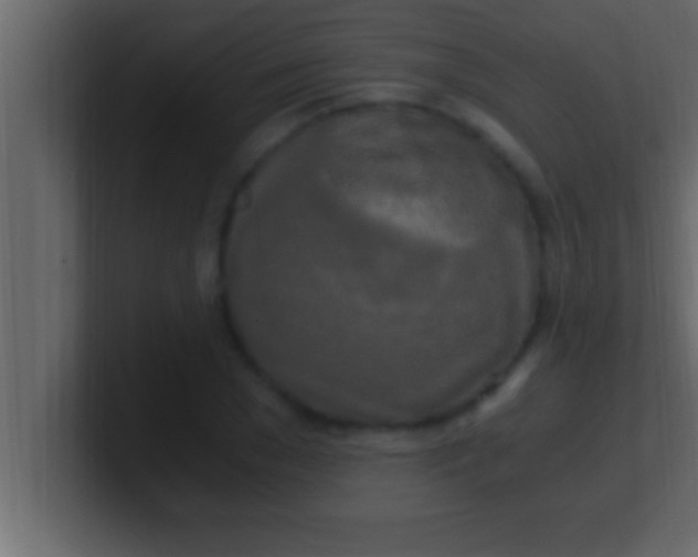 X0000100760977200807031146