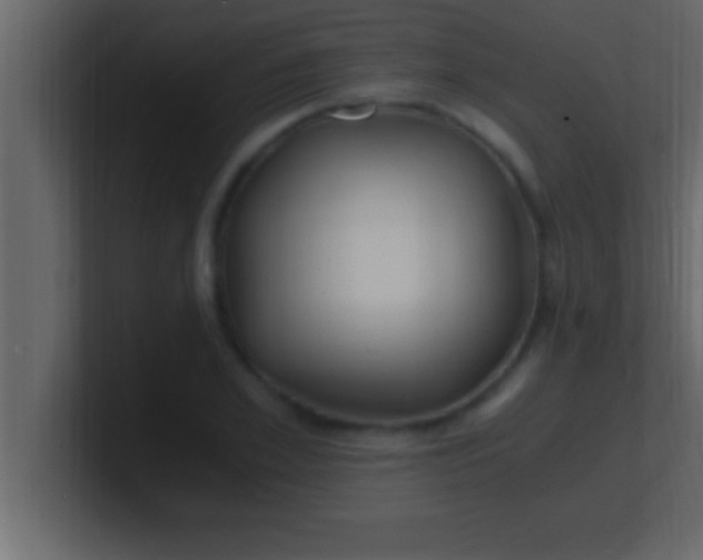 X0000100760981200807031146