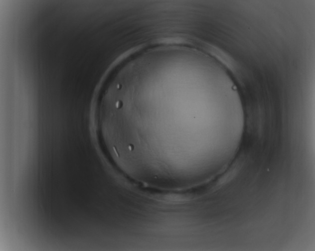 X0000100760984200807031146