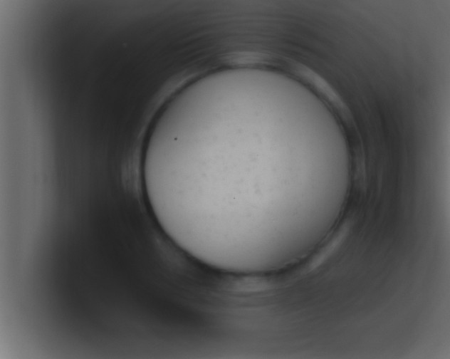 X0000100760986200807031146