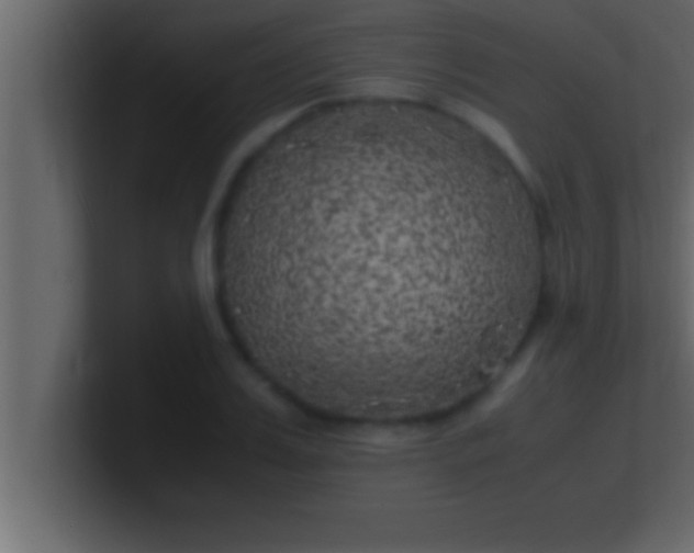 X0000100760987200807031146