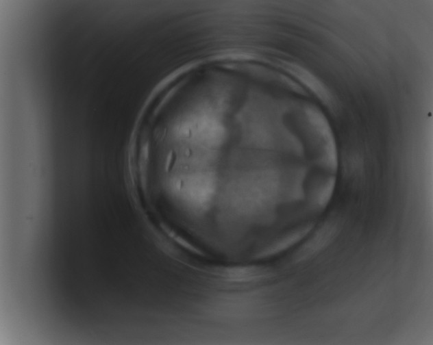 X0000100760988200807031146