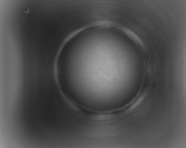 X0000100760989200807031146