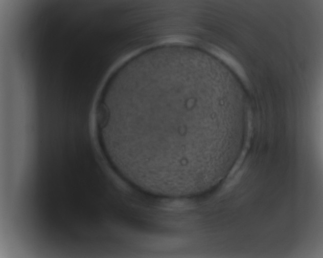 X0000100760991200807031146