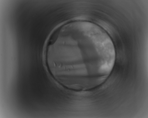 X0000100760992200807031146