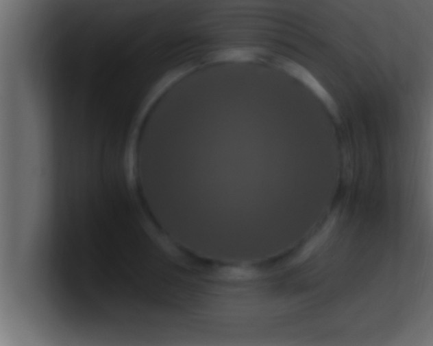 X0000100760994200807031146