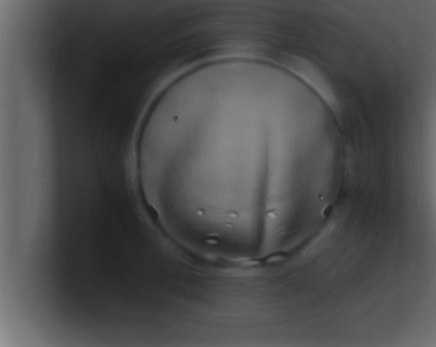 X0000100760996200807031146