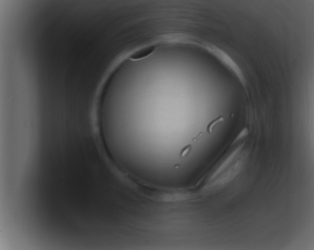 X0000100760997200807031146