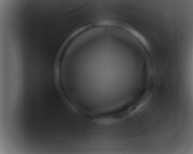 X0000100761000200807031146