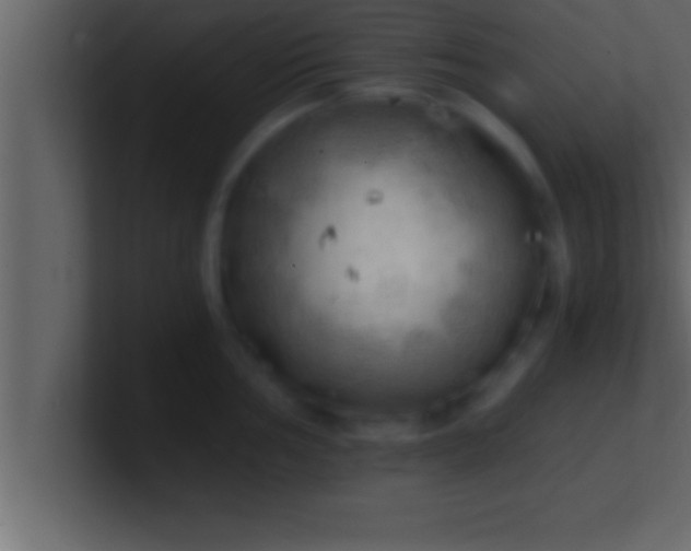 X0000100761002200807031146