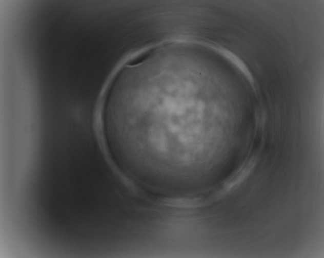 X0000100761005200807031146