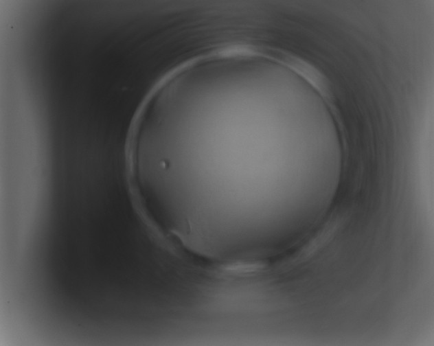 X0000100761008200807031146